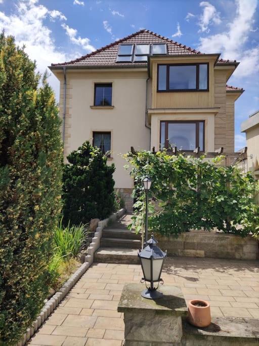 דרזדן Apartment Mit Ausblick Im Dresdner Suedwesten מראה חיצוני תמונה